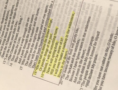 Core Value Series: The Bible