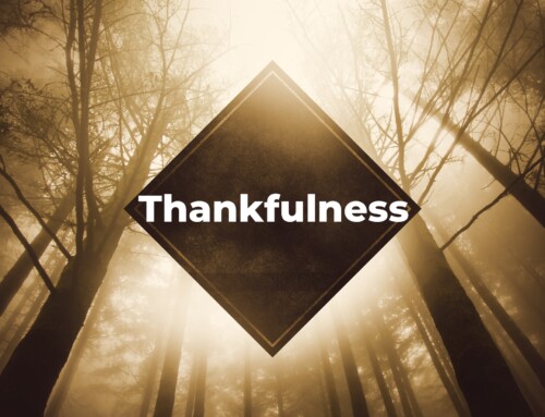41 Scriptures on Thankfulness